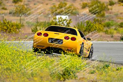 media/May-11-2024-Speed Ventures (Sat) [[6540dbf9cc]]/Red Group/Session 2-Bowl Entrance/